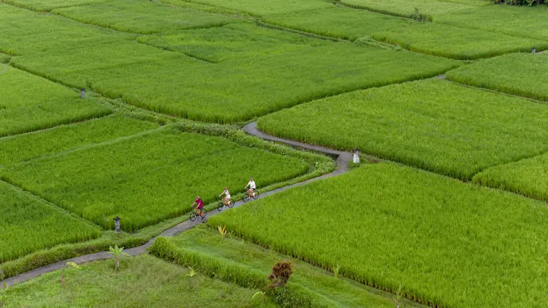 Cycling With Guide
