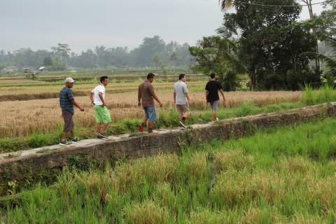 Rice Paddy Trekking